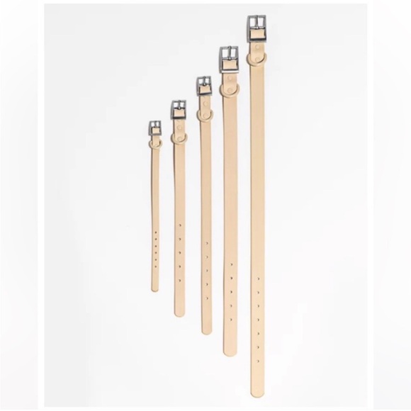 Wild One Collar in Blush
XS NEW 
$38 EXTRA SMALL  7”-10"  STRAP WIDTH 0.5” - Picture 15 of 16